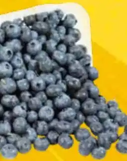 EDEKA Bandelt Bio Kulturheidelbeeren Angebot