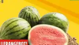 EDEKA Bandelt Bio-Mini-Wassermelone Angebot
