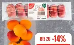 Edeka Frischemarkt Gut & Günstig Plattpfirsiche Angebot