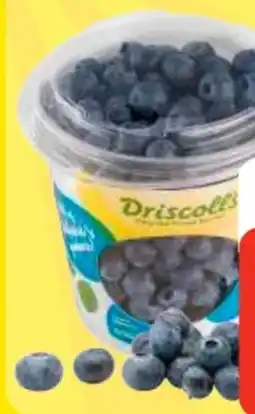 Edeka Frischemarkt Driscoll's Kulturheidelbeeren Angebot