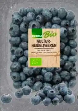 Edeka Edeka Bio Bio-Kulturheidelbeeren Angebot