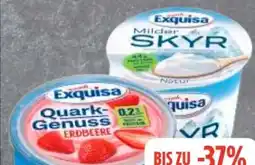 Edeka Exquisa Quark Genuss Angebot