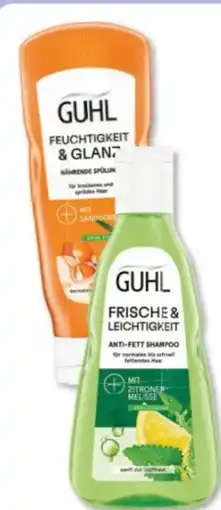 Budni Guhl Shampoo Angebot