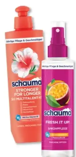 Budni Schwarzkopf Schauma Sprühpflege Angebot