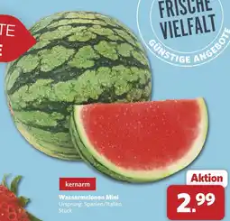 Combi Wassermelonen mini Angebot