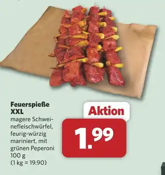 Combi Feuerspieße xxl Angebot