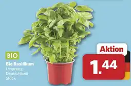 Combi Bio basilikum Angebot