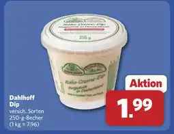 Combi Dahlhoff dip Angebot