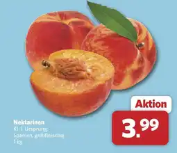 Combi Nektarinen Angebot