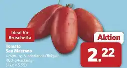 Combi Tomate san marzano Angebot