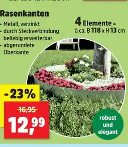 Thomas Philipps Rasenkanten Angebot