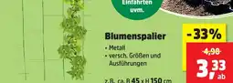 Thomas Philipps Blumenspalier Angebot