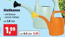 Thomas Philipps Gießkanne ca. 1.8 liter Angebot