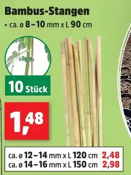 Thomas Philipps Bambus-stangen ca. ø 8–10 mm x l 90 cm Angebot