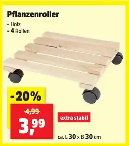 Thomas Philipps Pflanzenroller Angebot