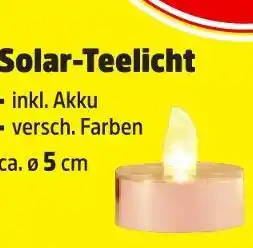 Thomas Philipps Solar-teelicht Angebot