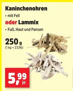 Thomas Philipps Kaninchenohren mit fell Angebot