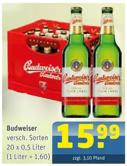 Getränke Arena Budweiser versch. sorten Angebot