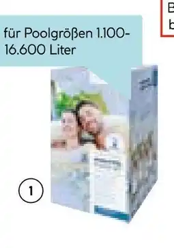 Hellweg Whirlpoolpflege komplett-starter-set Angebot