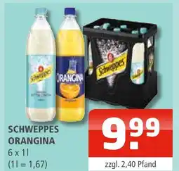 Getränke Oase Schweppes orangina Angebot