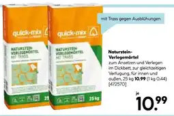 Hellweg Quick-mix naturstein-verlegemörtel Angebot