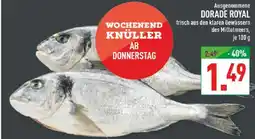 Marktkauf Dorade royal Angebot