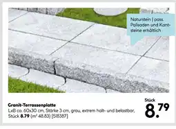 Hellweg Granit-terrassenplatte Angebot