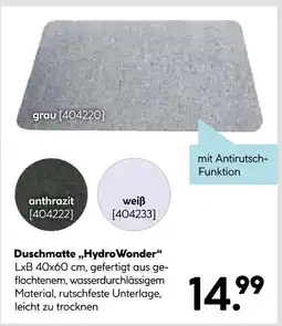 Hellweg Duschmatte hydrowonder Angebot