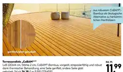 Hellweg Terrassendiele cobam Angebot