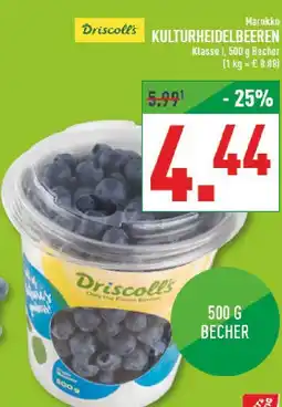 Marktkauf Driscoll's kulturheidelbeeren Angebot