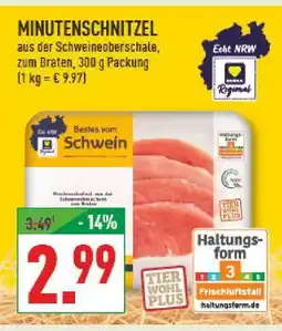 Marktkauf Bestes vom schwein minutenschnitzel Angebot