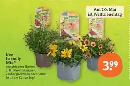 tegut Bee friendly mix Angebot
