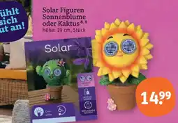 tegut Solar figuren sonnenblume Angebot