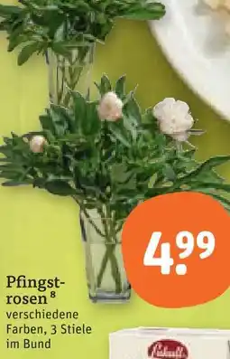 tegut Pfingstrosen Angebot