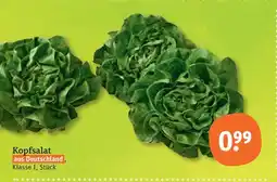 tegut Kopfsalat Angebot