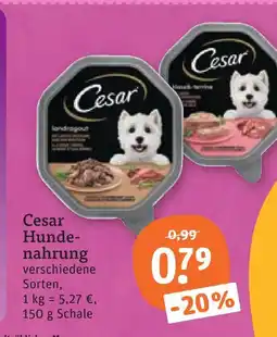 tegut Cesar hundenahrung Angebot
