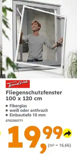Globus Baumarkt Trendline fliegenschutzfenster Angebot