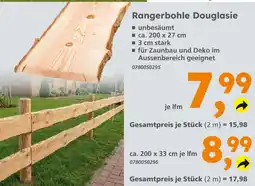 Globus Baumarkt Rangerbohle douglasie Angebot