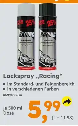 Globus Baumarkt Lackspray racing weiß Angebot