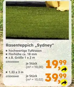 Globus Baumarkt Rasenteppich sydney Angebot