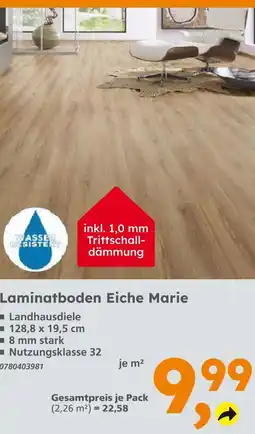 Globus Baumarkt Laminatboden eiche marie Angebot