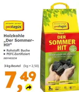 Globus Baumarkt Profagus holzkohle 'der sommer-hit' Angebot