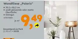 Globus Baumarkt Wandfliese polaris Angebot