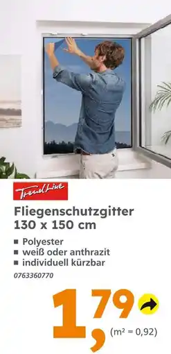 Globus Baumarkt Trendline fliegenschutzgitter Angebot