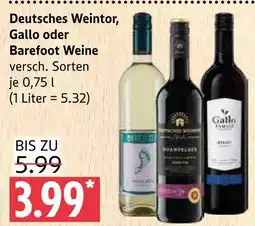 Marktkauf Deutsches weintor, gallo oder barefoot weine Angebot