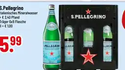 trinkgut S.pellegrino italienisches mineralwasser Angebot