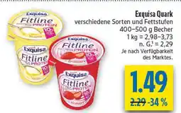 diska Exquisa fitline protein vanilla Angebot