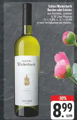 E-Center Schloss wackerbarth bacchus Angebot