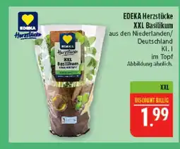 Marktkauf Edeka herzstücke xxl basilikum Angebot