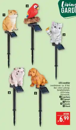 Marktkauf Led-leuchtier Angebot